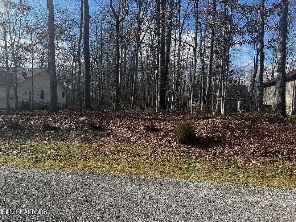 2nd image of 115 Essex Ln #38