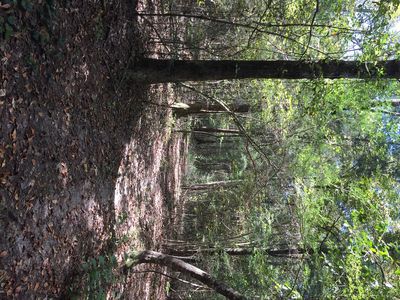 Drude Rd #3.23, Ponchatoula, LA, 70454