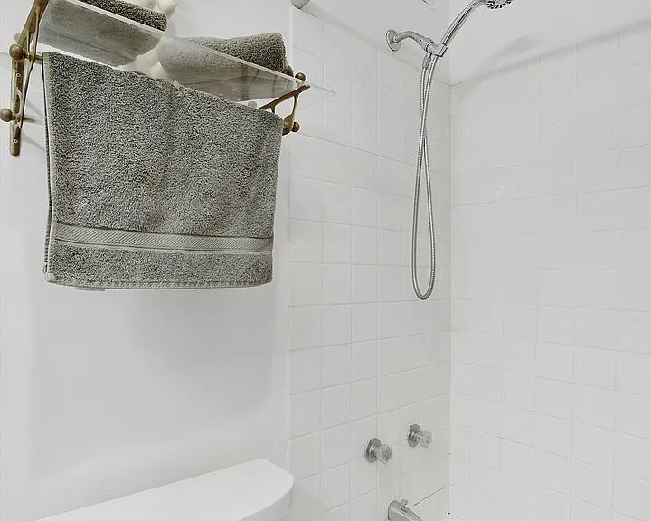 88 W Schiller St #703 — Photo 11