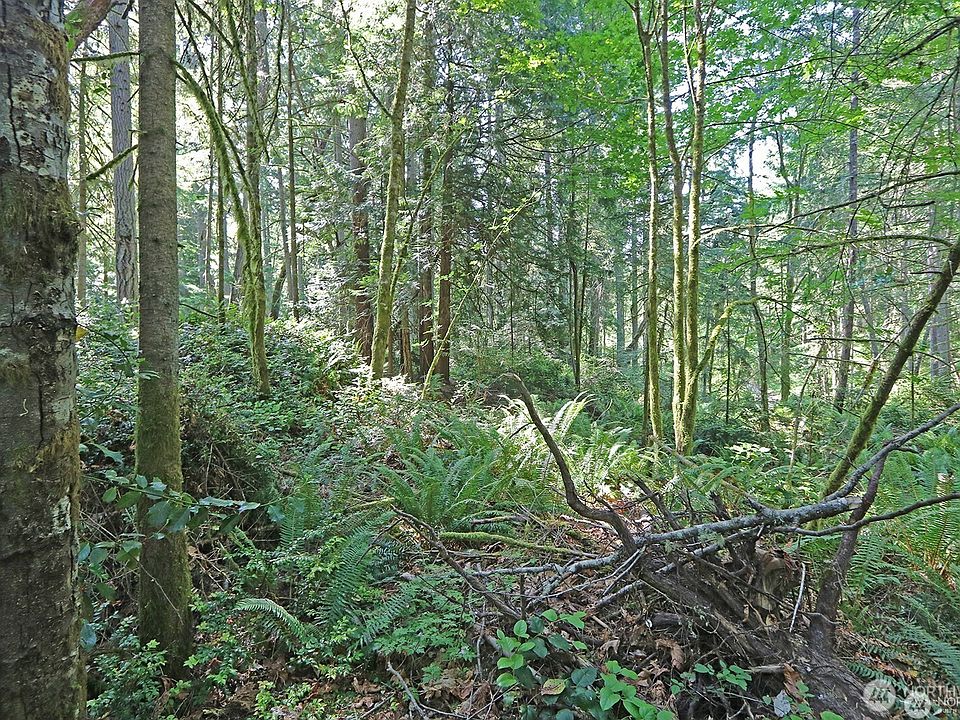 1st image of 20825 Old Mill Road SW