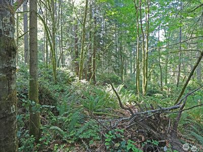 20825 Old Mill Road SW, Vashon, WA, 98070