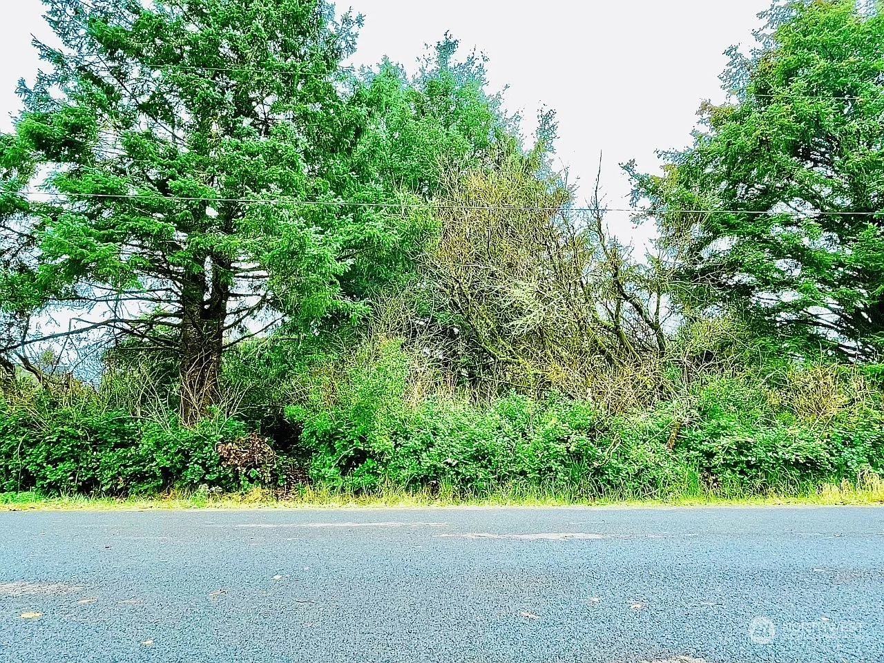 184 S Port Loop SW photo 1