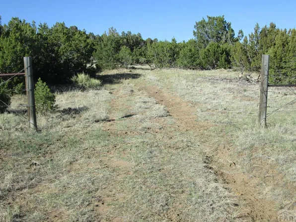 342 Rio Cucharas, Walsenburg, CO 81089