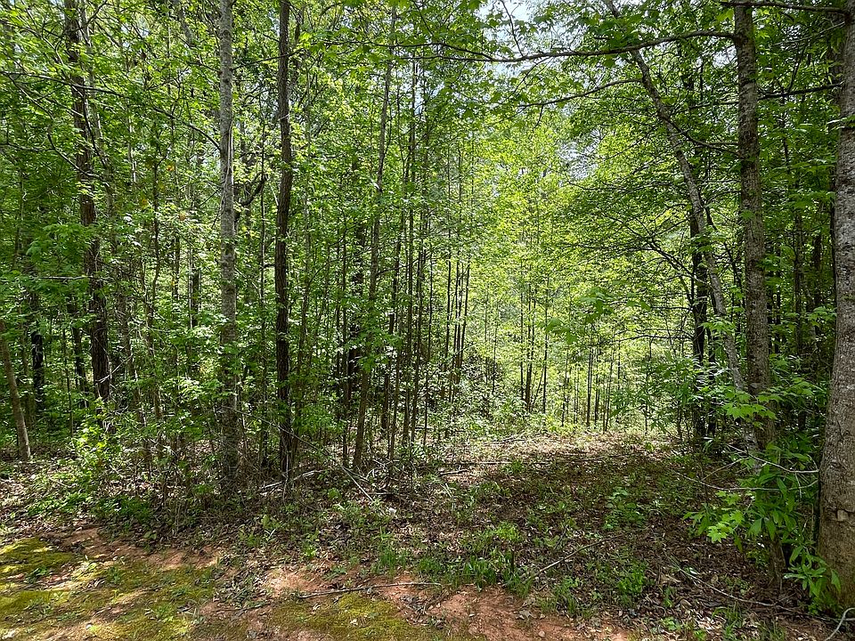 1st image of 205 White Birch Dr