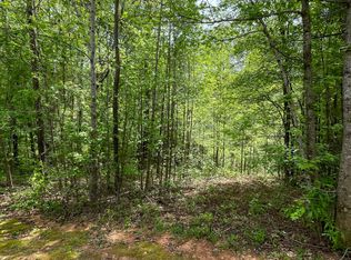 205 White Birch Dr, Covington, GA