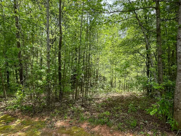 205 White Birch Dr, Covington, GA 30016