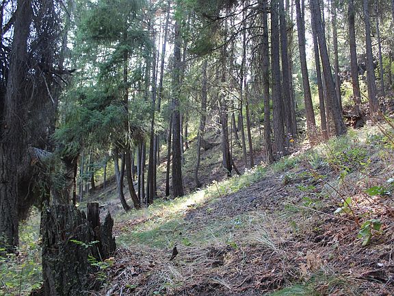 3rd image of Nna Pine Cliffs Ave Lot 33