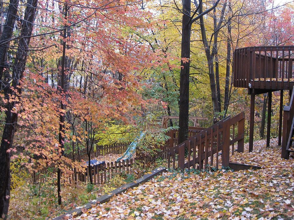 Back Yard 10/2009