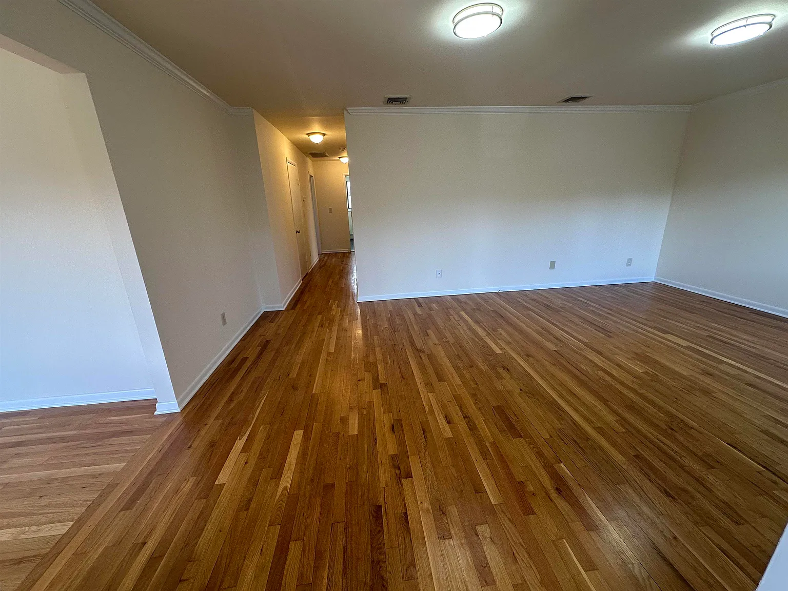 3 bed, 2.0 bath, 1250 sqft, $3,995 — Photo 3
