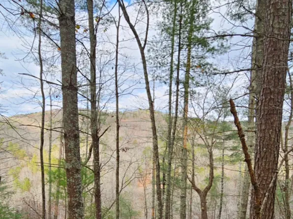 1744 Meadow Ln, Talking Rock, GA 30175