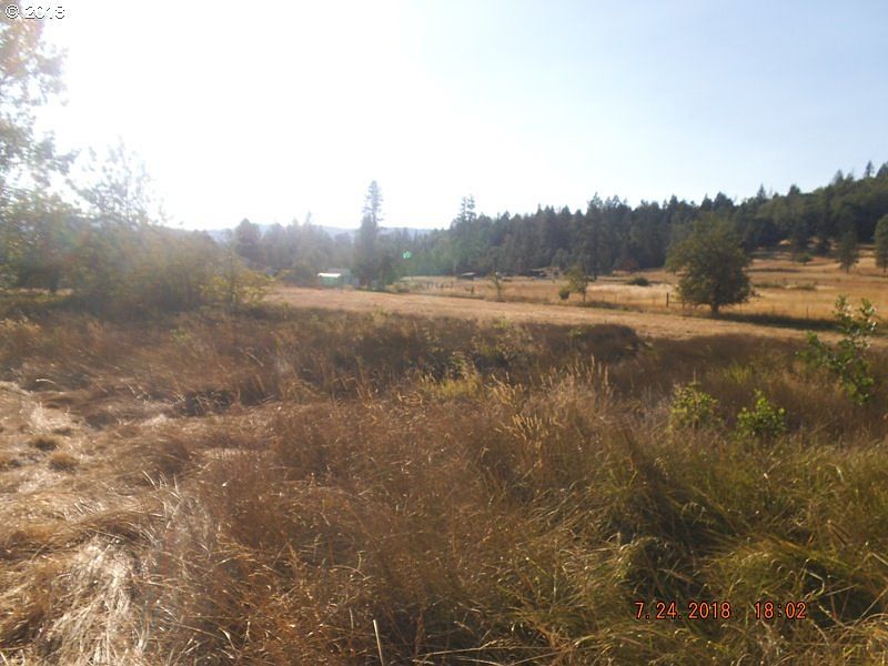 2nd image of 485 Orchard Ln