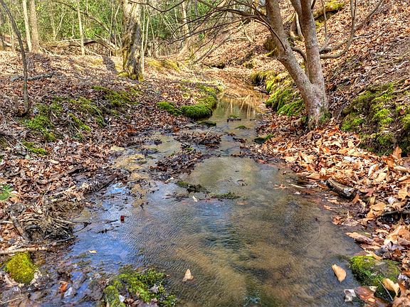 4th image of LOT 13 Ridge Rd