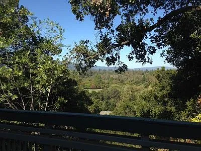 Live Oak Apartments — Photo 122