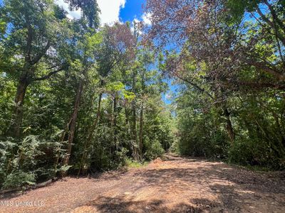 Lymon Havard Ln, Lucedale, MS, 39452