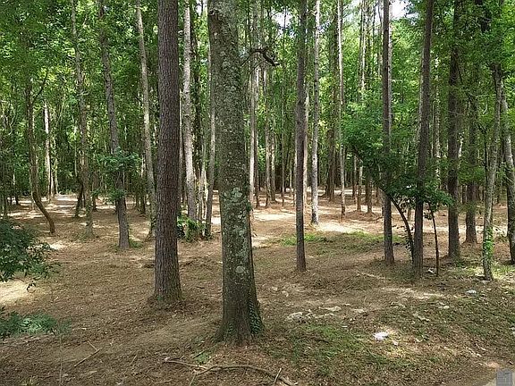 4th image of TRACT Scott Barr Rd #X