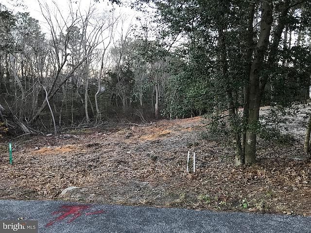2nd image of 104 Munchy Ct