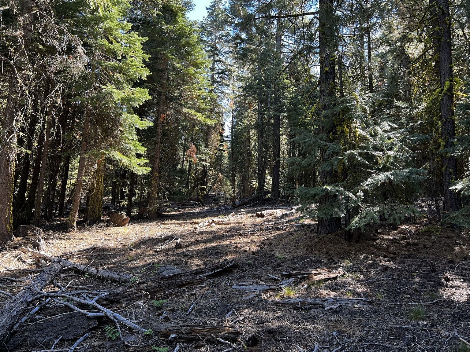 22 Parlite St, Alturas, CA 96101 Zillow