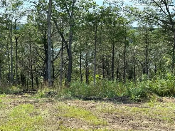 TRACT 2 N Horseshoe Bend Rd, Lead Hill, AR 72644