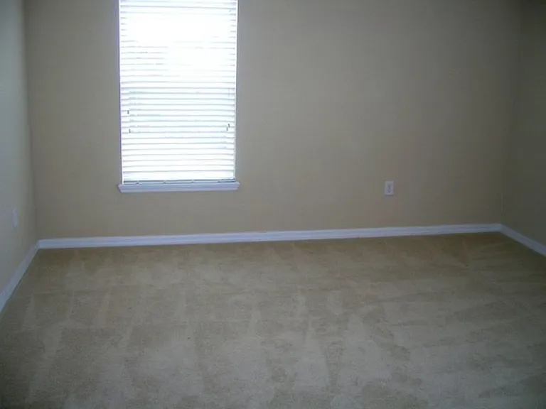 4041 Pemberly Pines Cir — Photo 7