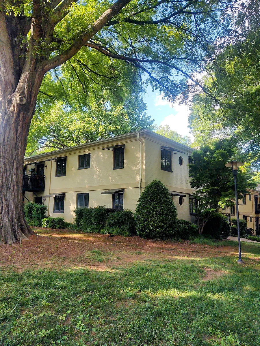 Corner first floor unit overlooking large front yard. - 201 N Dotger Ave #C7