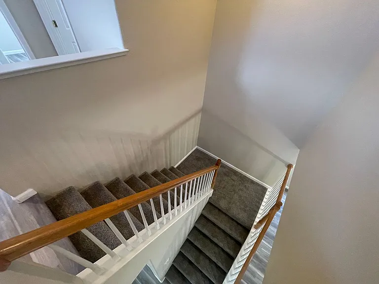 836 Shasta Daisy Dr — Photo 22