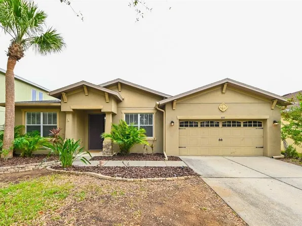 3851 Evergreen Oaks Dr, Lutz, FL 33558