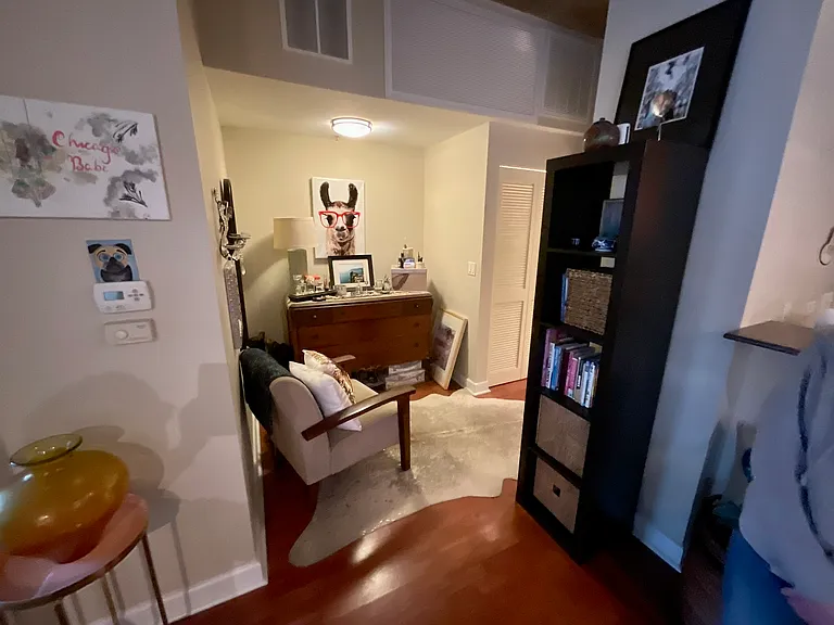 1305 S Michigan Ave #1011 — Photo 16