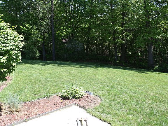 View to the back yard 