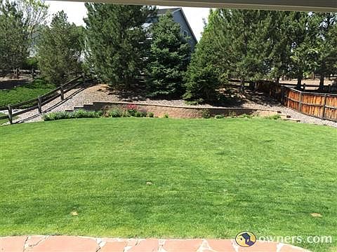 Large backyard with lots of grass for kids/dog play