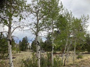 256 Bandana Road LOT 0471, Hartsel, CO 80449