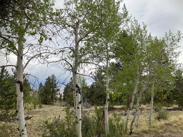 256 Bandana Road LOT 0471, Hartsel, CO 80449