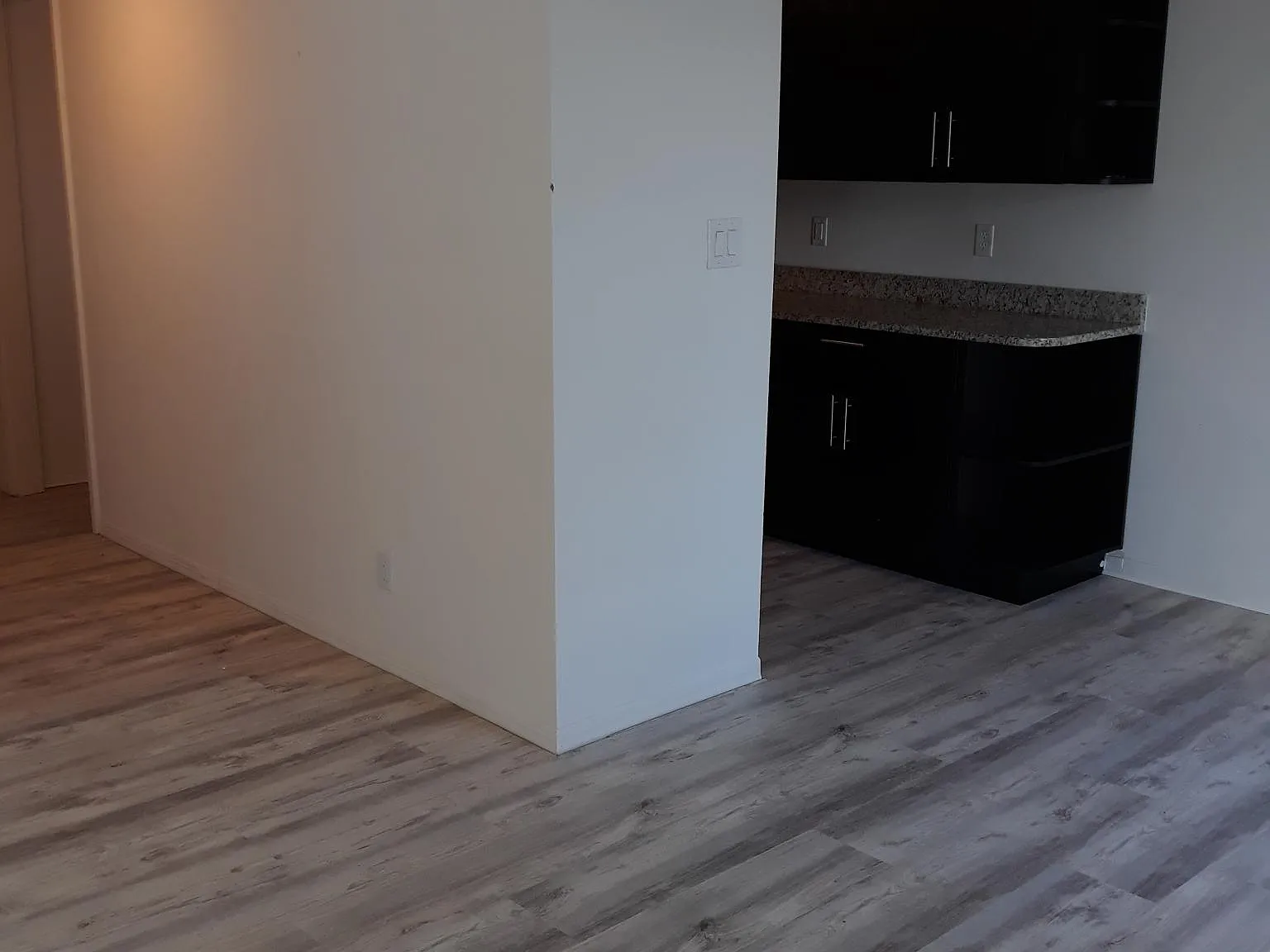 2 bed, 1056 sqft, $1,950 — Photo 4