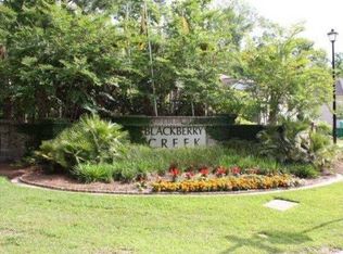 255 Austin Creek Ct, Summerville, SC 29483