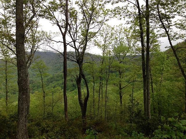 1st image of 1518 Panther Park Trl