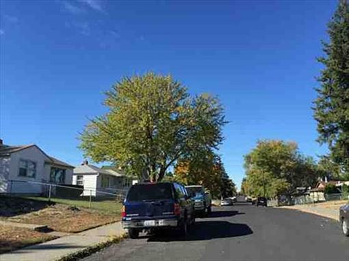 2nd image of 1524 E Sanson Ave