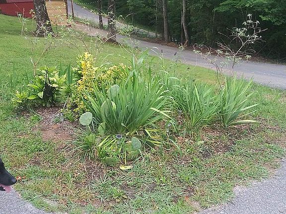 Corner lot 