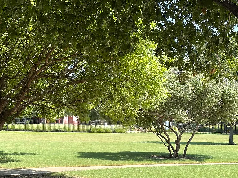 Green Space in front of Townhome