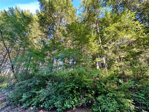 8911 126th Avenue Ct, Anderson Island, WA 98303