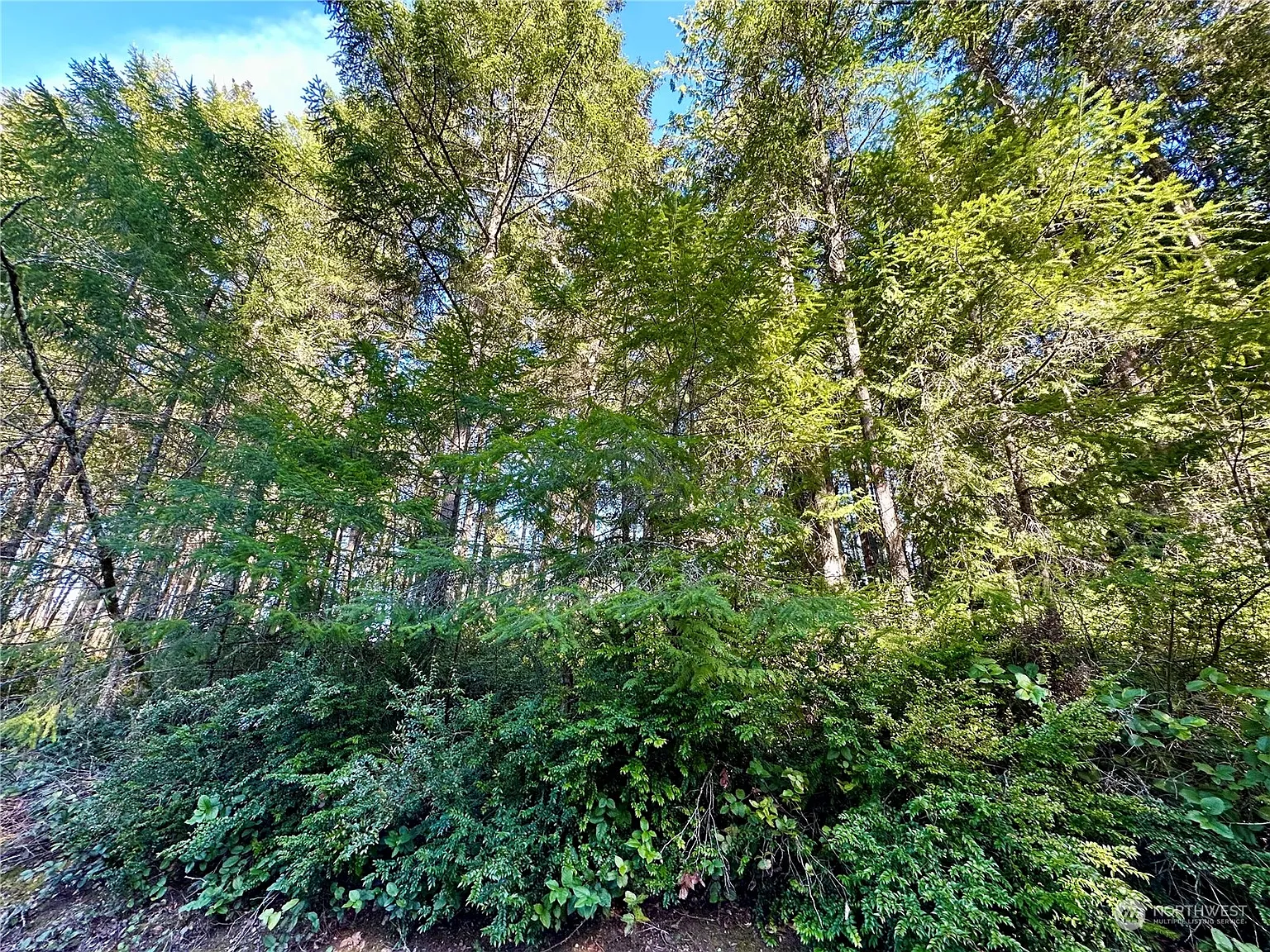 8911 126th Avenue Ct photo 1