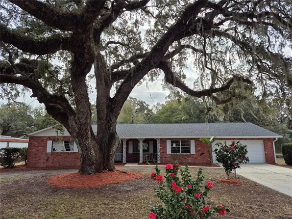 802 Peters St, Wildwood, FL 34785