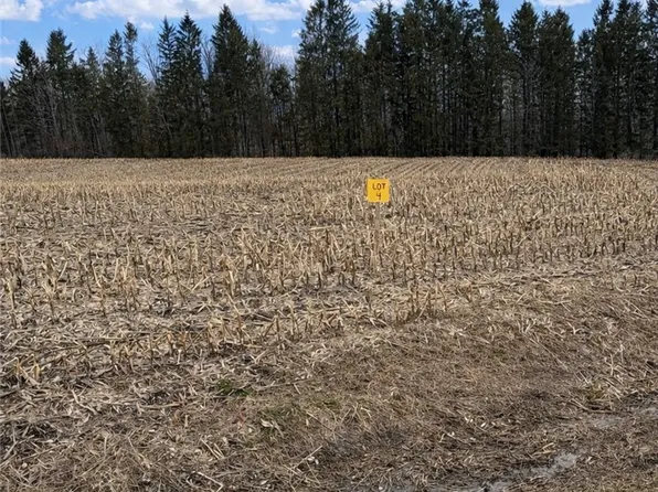 0 Skinner Rd Lot 4, Richfield Springs, NY 13439