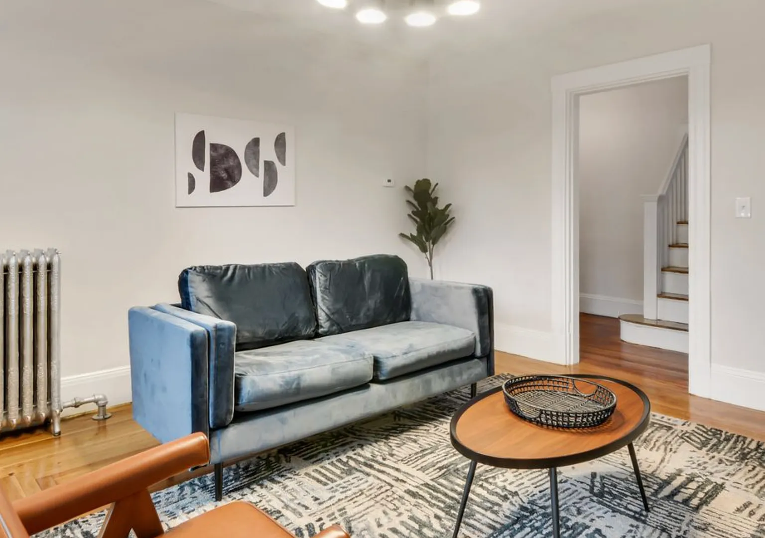 Avl NOW No Fee! - 5BR/2BA duplex in Lower Allston! — Photo 1