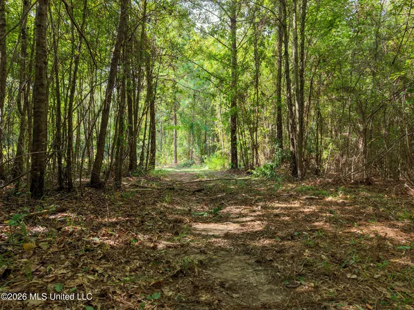 Harvey Dr, Carthage, MS 39051