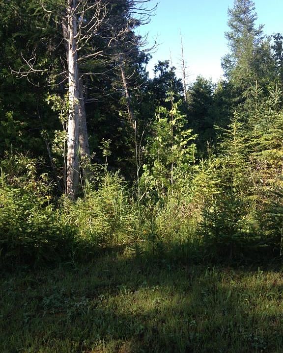 2nd image of 32848 S Radisson Rd