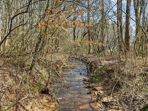 1614 Roy Rd, Ellijay, GA 30536