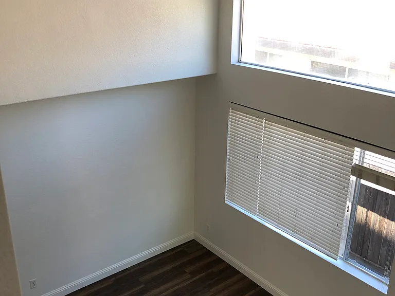 8742 Weeping Birch Ln — Photo 21