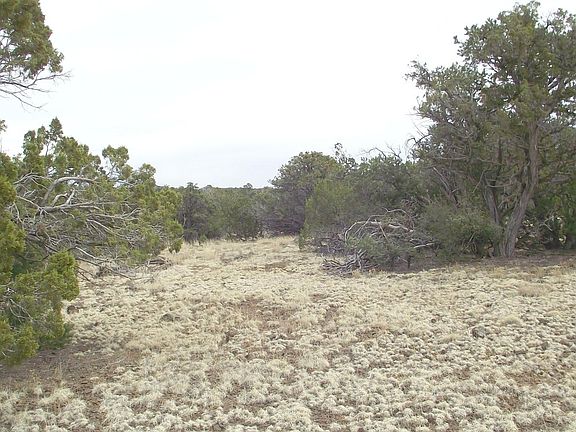 2nd image of 10741 N Dry Gulch Trl