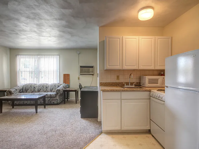 311 E White St #10 — Photo 4