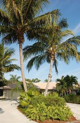 1st image of 260 Tequesta Circle