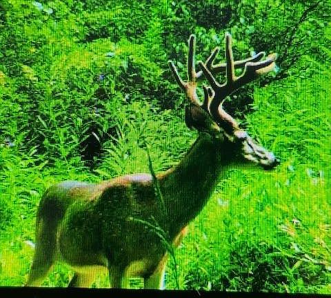 3rd image of 0 State Route 221